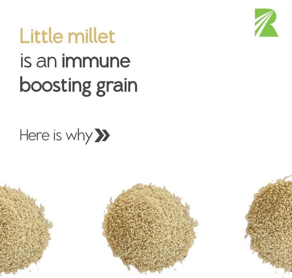 Online Nutrition Millets for a Healthy Lifestyle | Mibbles