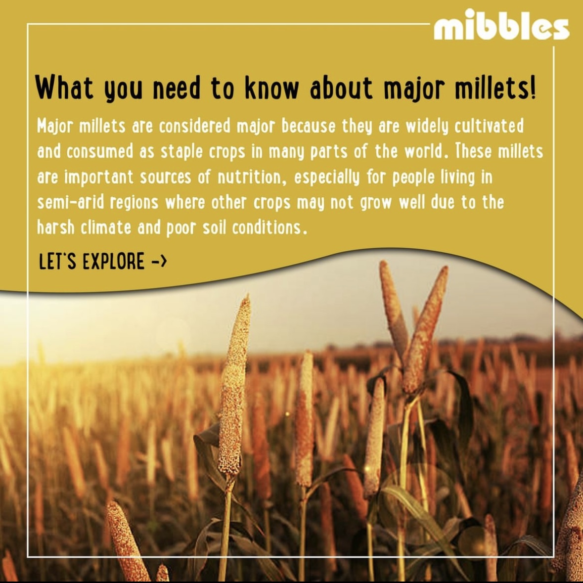 What you need to know about major millets!