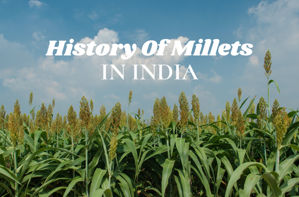 The Ancient Marvel: A Glimpse into the History of Millets in India