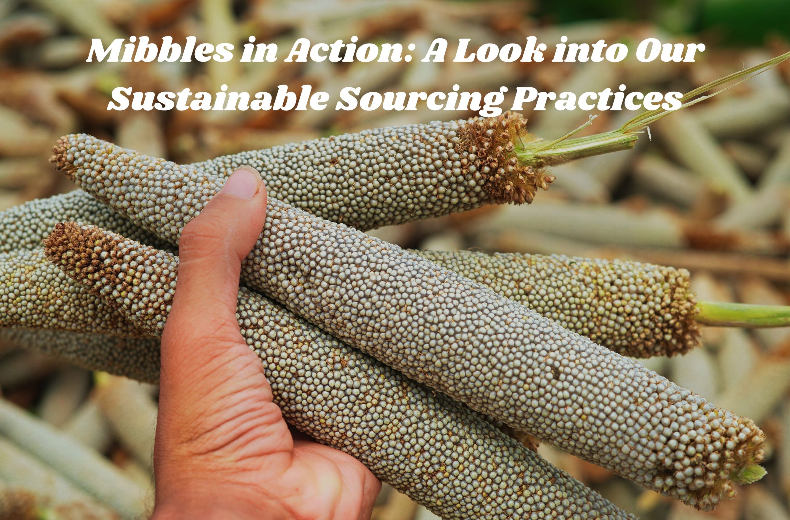 Mibbles in Action: A Look into Our Sustainable Sourcing Practices