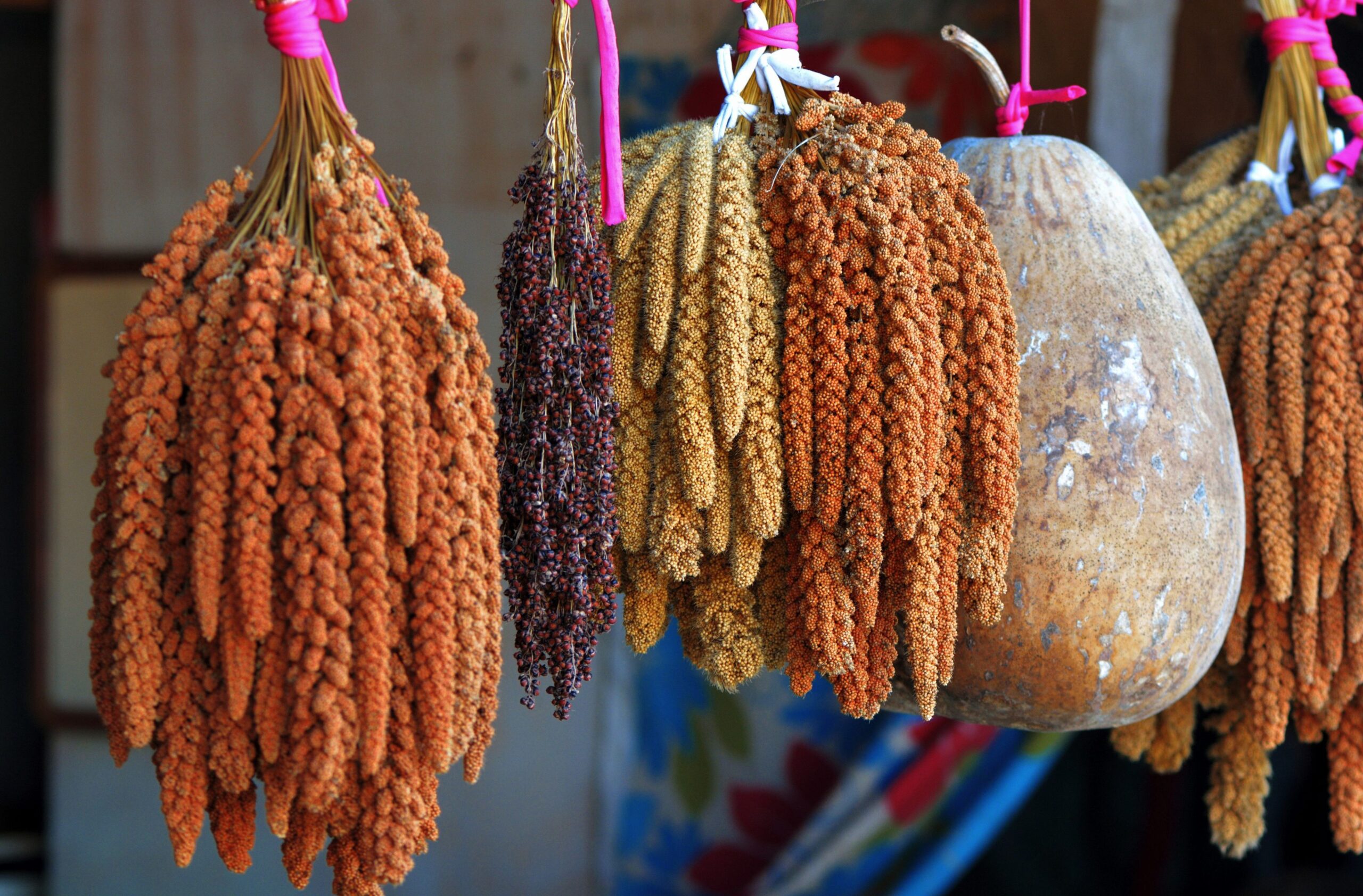 DIY Millet Crafts: Transforming Grains from Farm to Table to Art