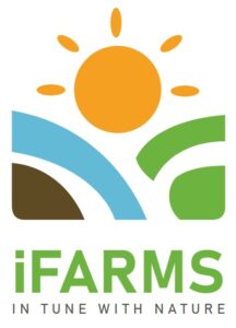 iframe